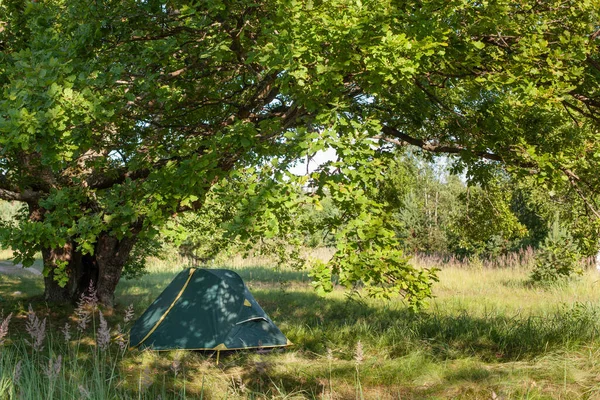 Namiot Kempingowy Środku Otwartego Pola Pobliżu Lasu Podczas Wschodu Słońca — Zdjęcie stockowe