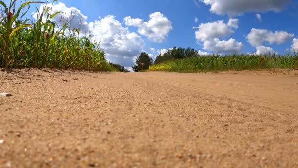 Un cycliste sur un vélo freine brusquement sur une route de campagne sablonneuse parmi les champs soufflant de la poussière de sable et des pierres dans la caméra au ralenti — Video