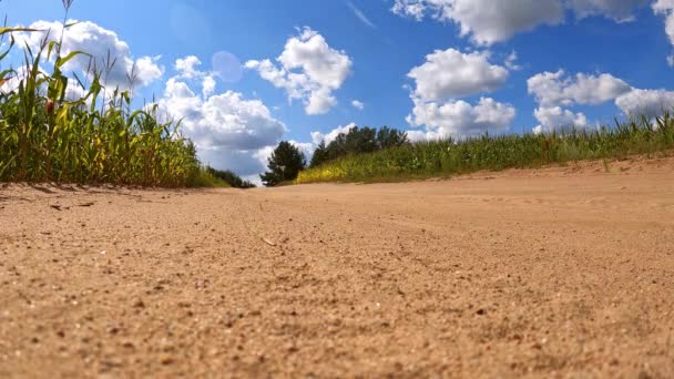 Cyklista na kole na brzdách ostře na písčité venkovské silnici mezi poli, který zpomaleně fouká písek a kameny do kamery — Stock video