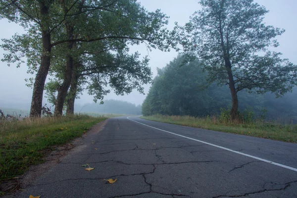 Mooie Maar Verschrikkelijke Verlaten Weg Met Oude Bomen Eromheen Dikke — Stockfoto