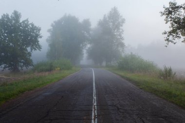 Güzel ama korkunç bir yol. Yoğun sis altında eski ağaçlar var. Korku filmi konsepti.