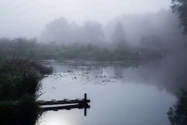 Güneşin altında taze yeşil çimenleri olan harika sisli bir nehir. Güneş ağaçların arasından ışıldıyor. Dramatik renkli bir manzara. Yazın güneşin doğuşunda sakin bir nehir.