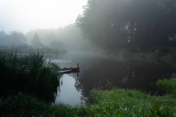 Fantastique Rivière Brumeuse Avec Herbe Verte Fraîche Soleil Soleil Traverse — Photo