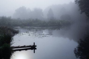 Güneşin altında taze yeşil çimenleri olan harika sisli bir nehir. Güneş ağaçların arasından ışıldıyor. Dramatik renkli bir manzara. Yazın güneşin doğuşunda sakin bir nehir.