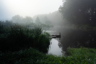 Güneşin altında taze yeşil çimenleri olan harika sisli bir nehir. Güneş ağaçların arasından ışıldıyor. Dramatik renkli bir manzara. Yazın güneşin doğuşunda sakin bir nehir.