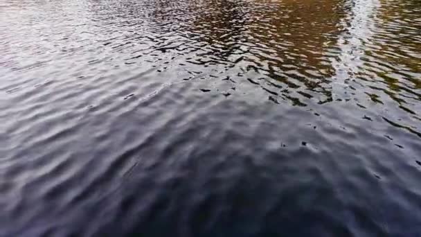 Voda tekoucí větrem po jezeře. Přírodní textura pozadí. — Stock video
