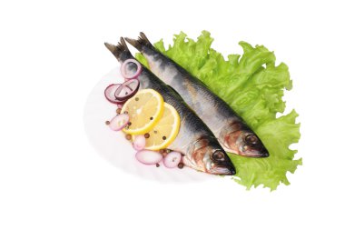 plaka tuzlanmış ringa balığı
