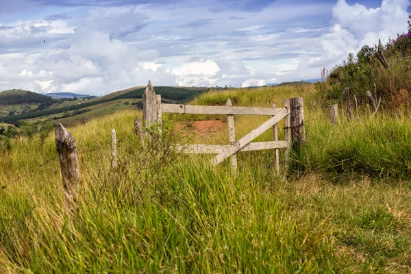 Brazilian tropical landscape — Stock Photo, Image