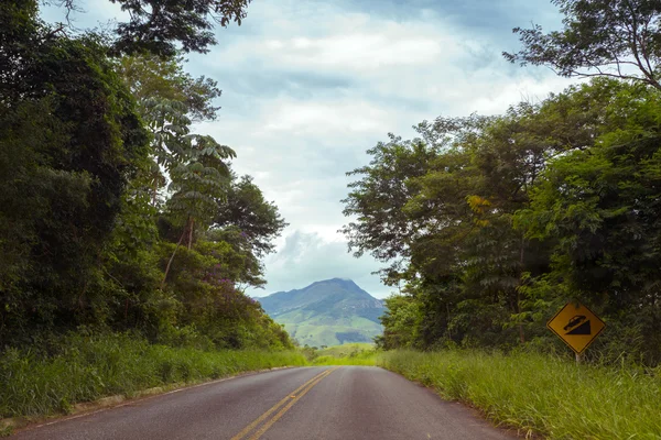 Caminos de Brasil — Foto de Stock