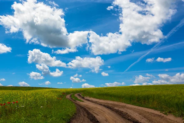 Oekraïense landschap een — Stockfoto