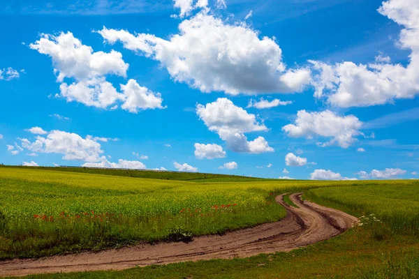 Paisagem ucraniana — Fotografia de Stock