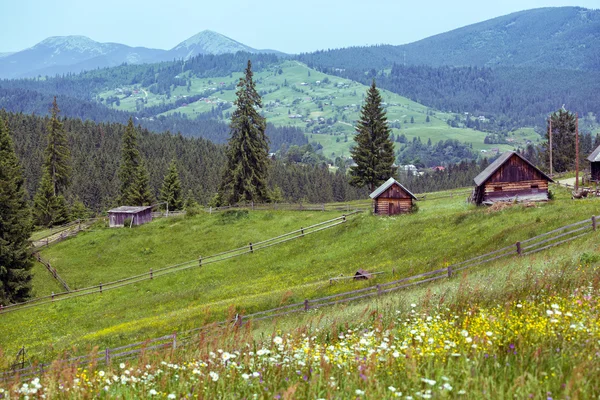 Ukrainian landscape a — Stock Photo, Image