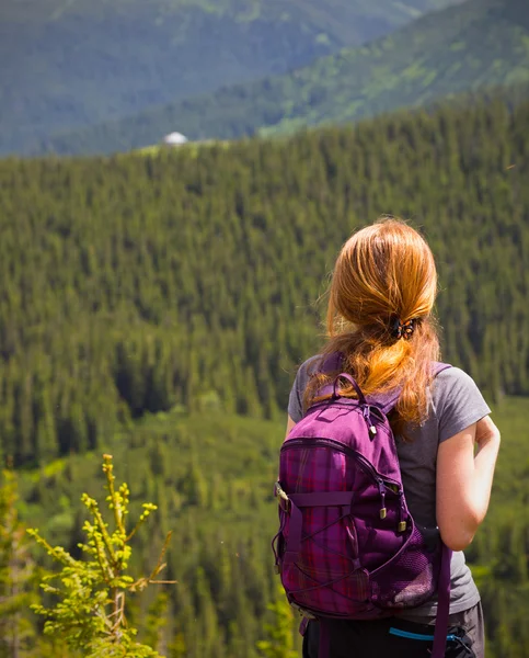 Chica excursionista un — Foto de Stock