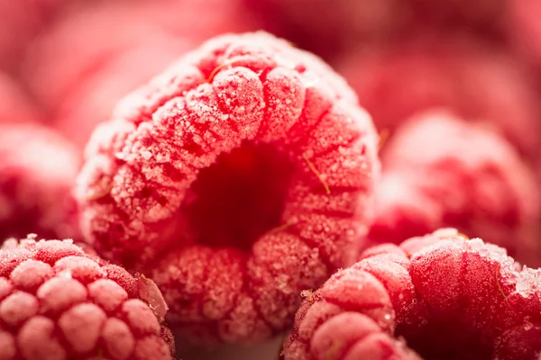 냉동된 산딸기 배경 — 스톡 사진