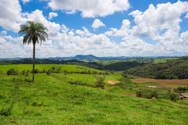 Paisaje tropical brasileño — Foto de Stock