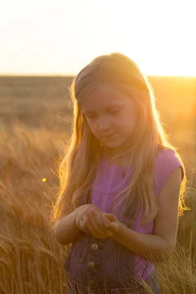 Girl at the field — Stock Photo, Image