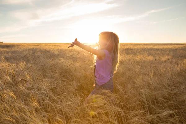 Girl at the field — Stock Photo, Image