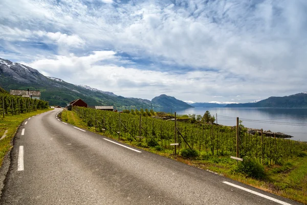 Norweski road — Zdjęcie stockowe