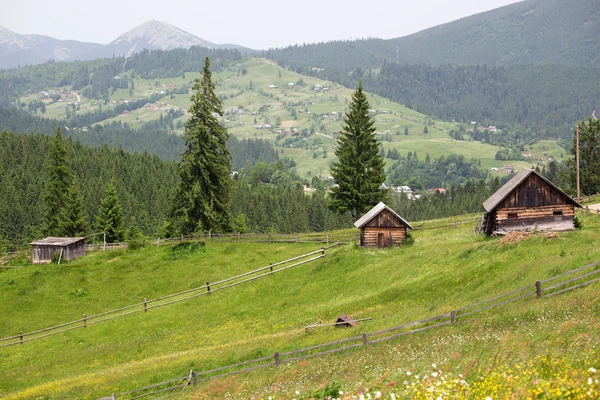 Drewniane domy na wzgórzach trawy — Zdjęcie stockowe