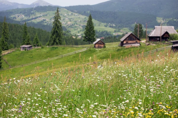 Расплывчатые деревянные дома и трава на холмах — стоковое фото