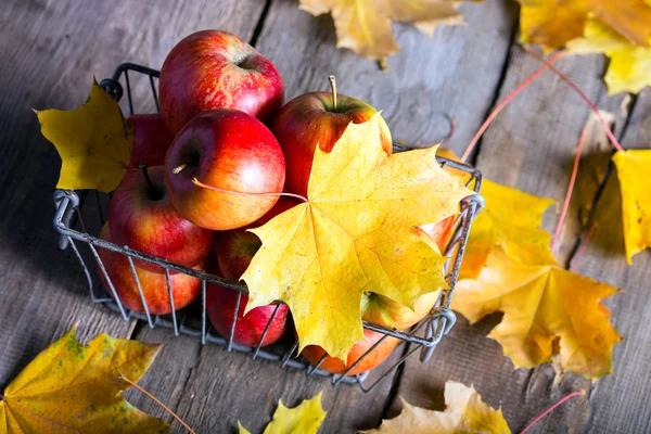 Manzanas en el fondo — Foto de Stock