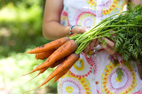 Carota a a — Foto Stock