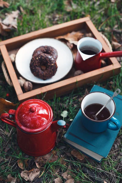 Пікнік Лісі Чай Пончики Падіння Розслаблення — стокове фото
