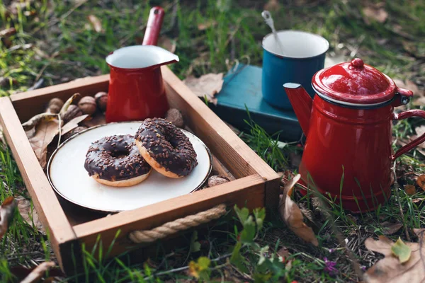 Piknik Erdőben Teát Fánkot Elesés Rela — Stock Fotó