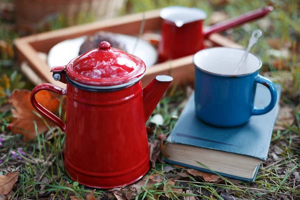 Picknick Het Bos Thee Donuts Vallen Rela — Stockfoto