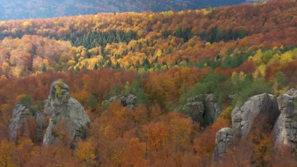 Sonbahar Dağlarındaki Dovbush Kayalıkları Adlı Kaya Oluşumlarının Hava Görüntüsü — Stok video