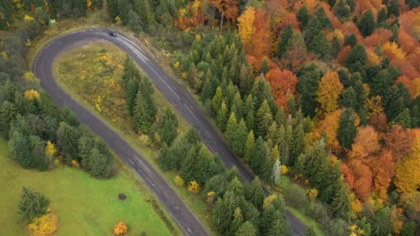 Parlak Renkli Ağaçlarla Sonbahar Ormanındaki Dağ Yolunun Havadan Görünüşü — Stok video