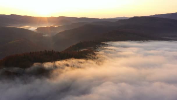 Pemandangan Udara Berkabut Pagi Musim Gugur Gunung Dengan Awan Mengambang — Stok Video