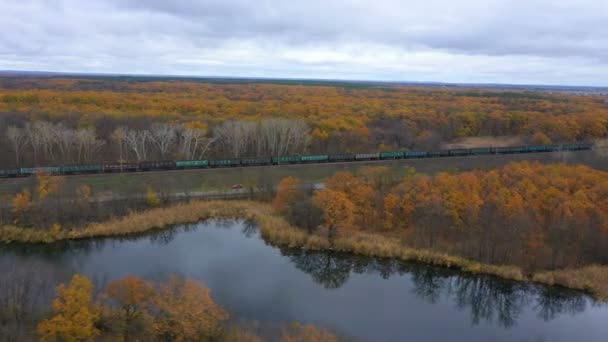 Повітряний Вид Вантажний Вантажний Поїзд Рухається Через Осінній Ліс Великою — стокове відео