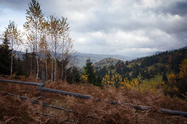 Hermoso Paisaje Montañas Paisaje Ucraniano Vista Del Valle Pendiente Con — Foto de Stock