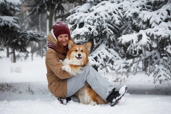 Close Portrait Dog Corgi Fluffy His Owner Playing Winter Walk — Stock Photo, Image
