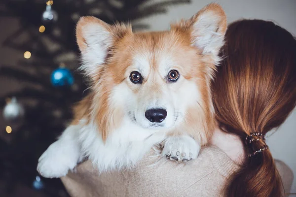 Ragazza Cane Abbracciare Uno Anothe — Foto Stock