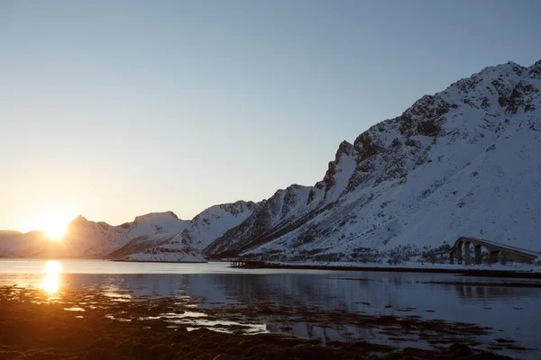 ロフテン諸島の美しいノルウェーの風景 ノルウェーだ フィヨルドの海岸の夕日 — ストック写真