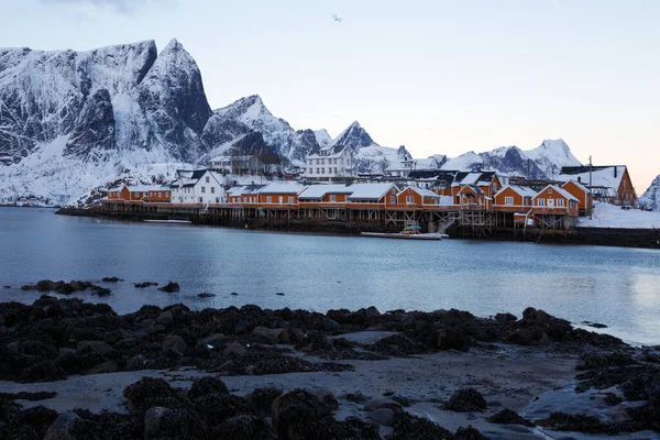 Hagyományos Norvég Faház Rorbu Állni Parton Fjord Hegyek Távolban Lofoten — Stock Fotó