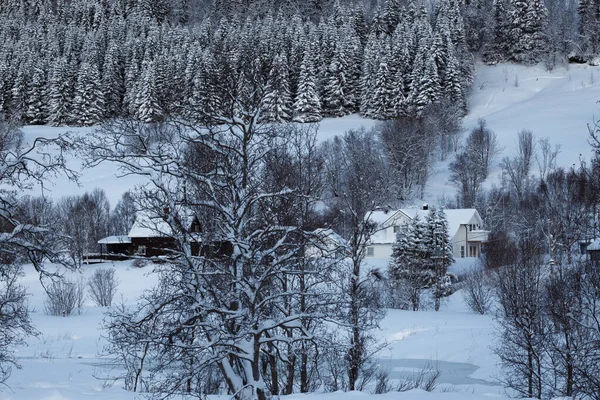 挪威美丽的乡村风景 山上美丽的雪村 — 图库照片