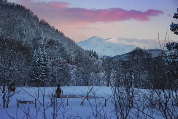 美しいノルウェーの田園風景 ノルウェーだ 山の中の美しい雪の村 — ストック写真