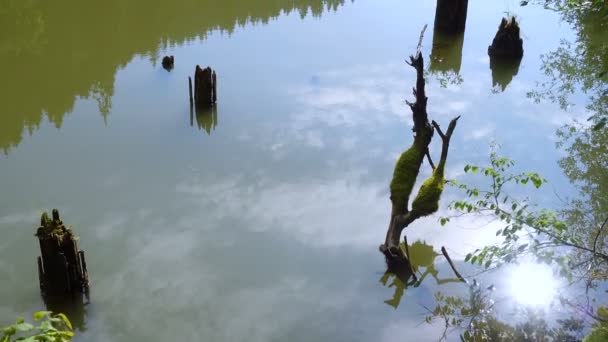 Pohled Známé Rumunské Horské Jezero Lacul Rosu Red Lake Dopoledních — Stock video