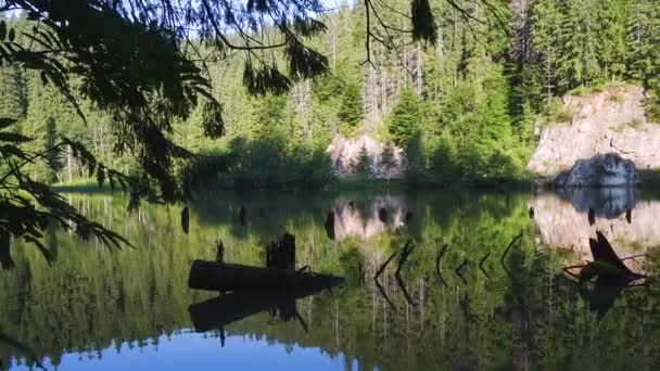 Vista Del Conocido Lago Montaña Rumano Lacul Rosu Red Lake — Vídeos de Stock