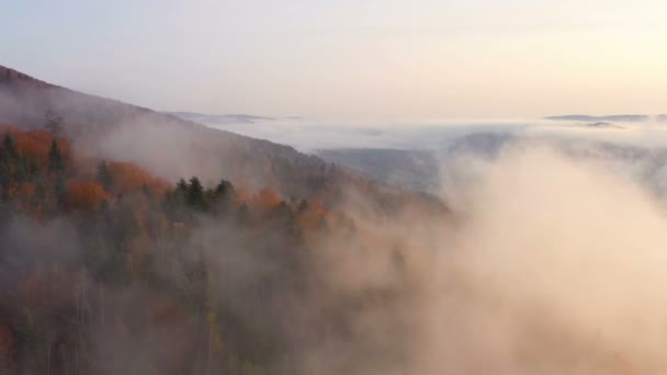 Vista Aérea Niebla Brumosa Mañana Otoño Montañas Con Las Nubes — Vídeos de Stock