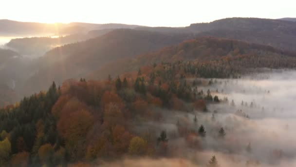 Vista Aerea Nebbia Nebbiosa Mattina Autunno Montagne Con Nuvole Galleggianti — Video Stock