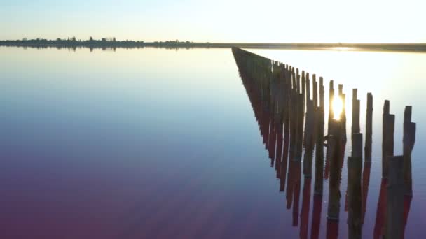 Lago Salato Rosa Con Pilastri Legno Estrazione Del Sale Abbandonato — Video Stock