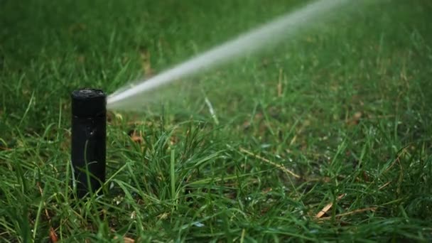 公园草地上的草坪洒水器 — 图库视频影像