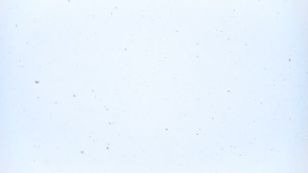Tvrdé Sněžení Pozadí Spoustou Padajících Sněhových Vloček Abstraktní Záběry — Stock video