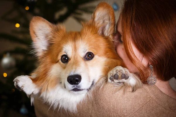 Ragazza Cane Abbracciare Uno Anothe — Foto Stock