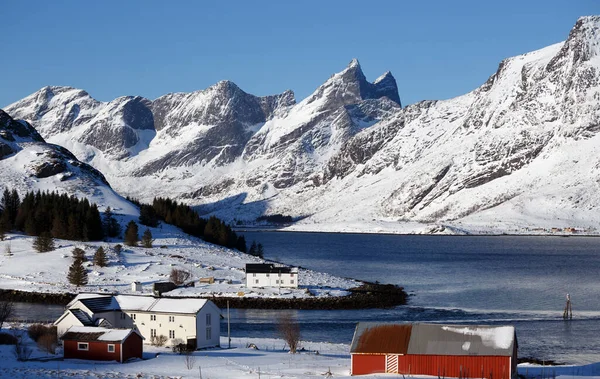 Небольшая Норвежская Деревня Берегу Фьорда Лофотенские Острова Норвегия — стоковое фото