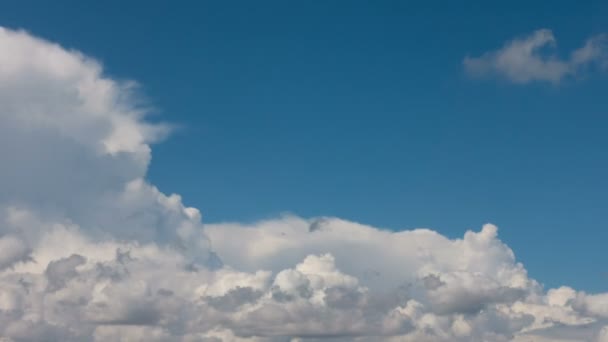 Όμορφα Άσπρα Σύννεφα Επιπλέουν Στο Γαλάζιο Του Ουρανού Μια Ηλιόλουστη — Αρχείο Βίντεο